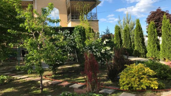 Пансионат для пожилых людей «Вера, Надежда, Любовь»