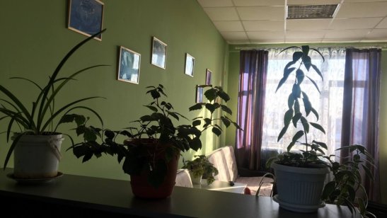 «Очаг» фото 4